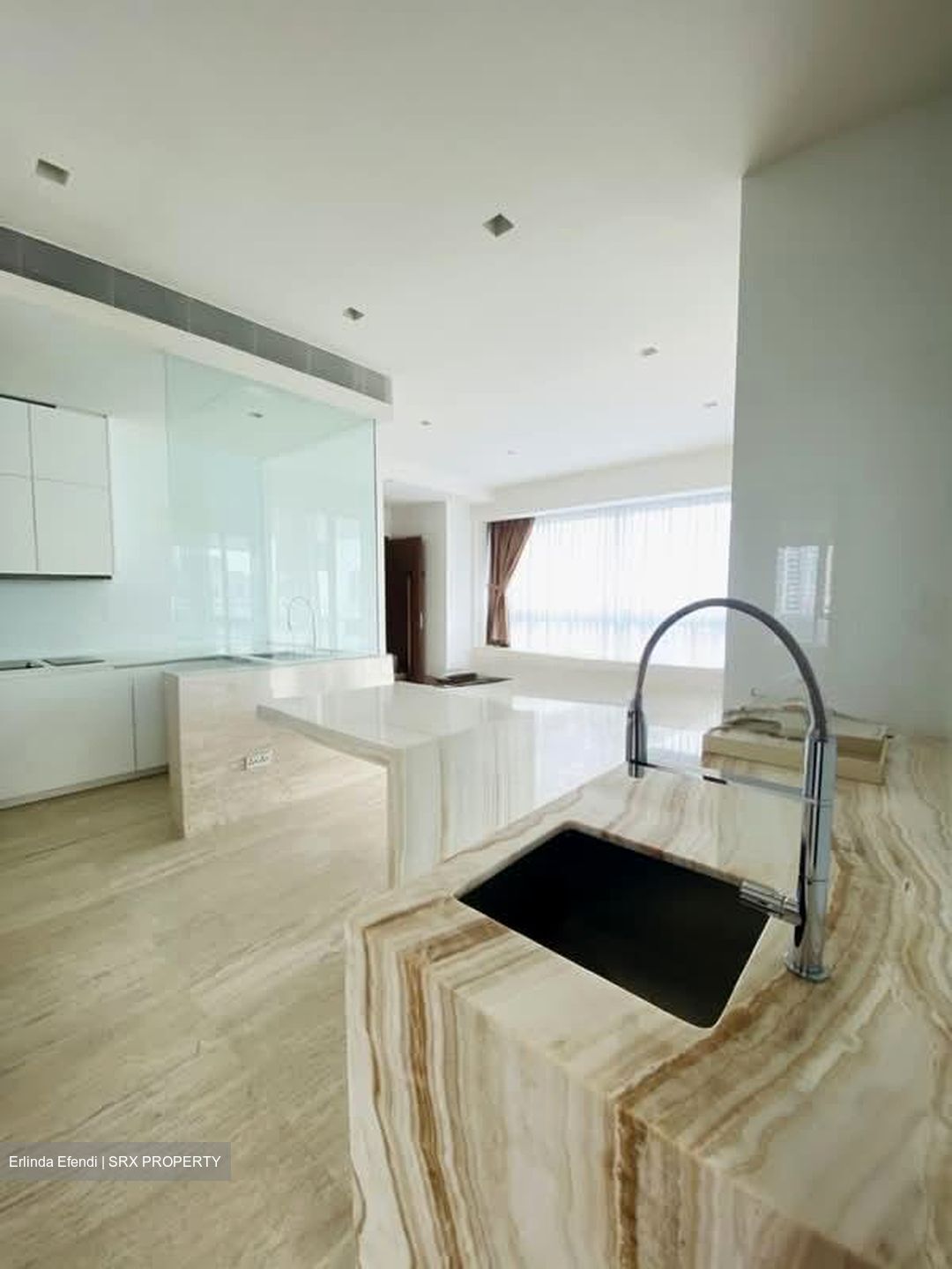 Skyline @ Orchard Boulevard (D9), Apartment #553489121
